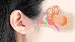 Otology (Ear Disease)